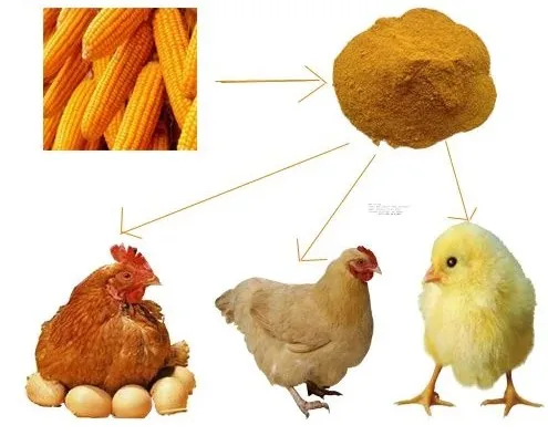 Top Grade Wholesale Nutritious Yellow Maize Corn For Animal Feed Bulk Export Products From Indian Exporter