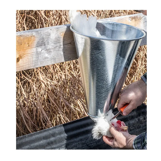 High Quality Chicken Poultry Killing Cone At Low Price
