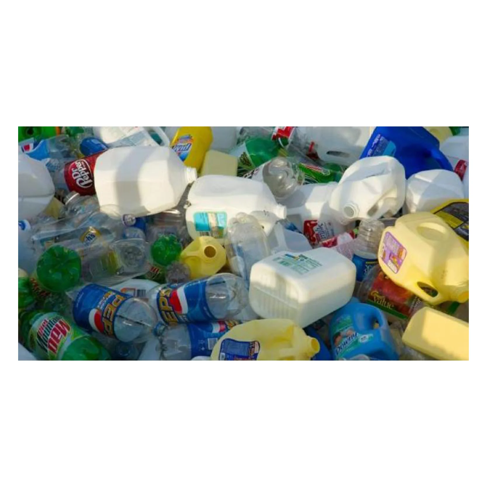 PET flakes white / recycled PET Resin