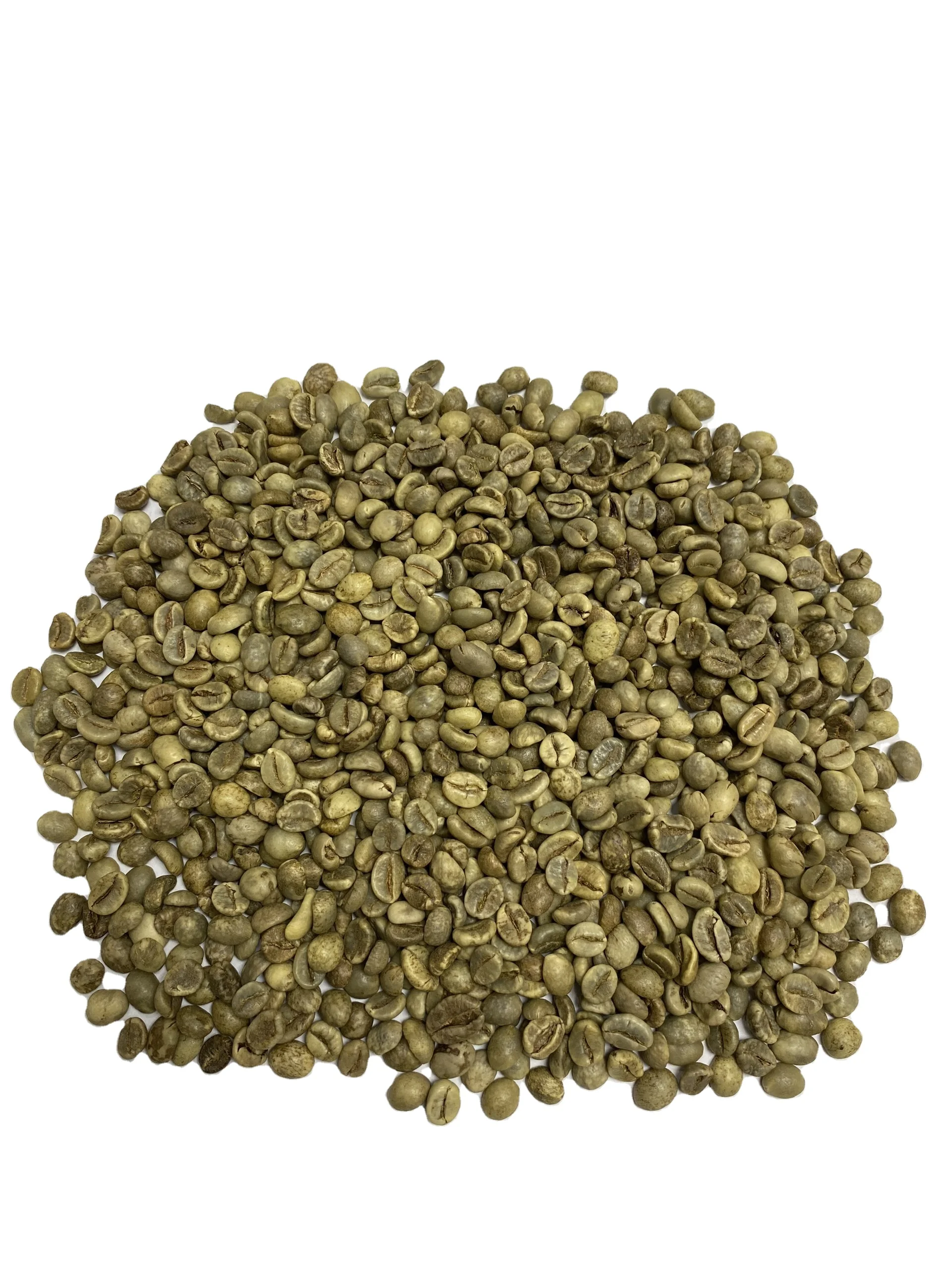 GREEN COFFEE BEAN ROBUSTA CHEAP PRICE 2023 CROP FROM VIETNAM PHALCO add whatsapp 0084963 198 873