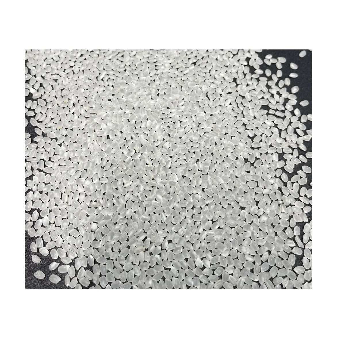 Японский рис натуральный белый экспортируемый OEM поддержка органический короткий тип BYJCC ВЬЕТНАМСКИЙ РИС