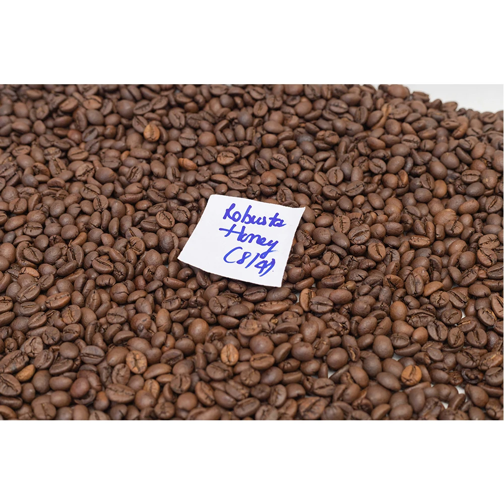 Robusta Honey Green Bean S18 Top Grade Coffee Beans Wholesale High Quality Premium Grade 60 Kg 18 COMMON Cultivation