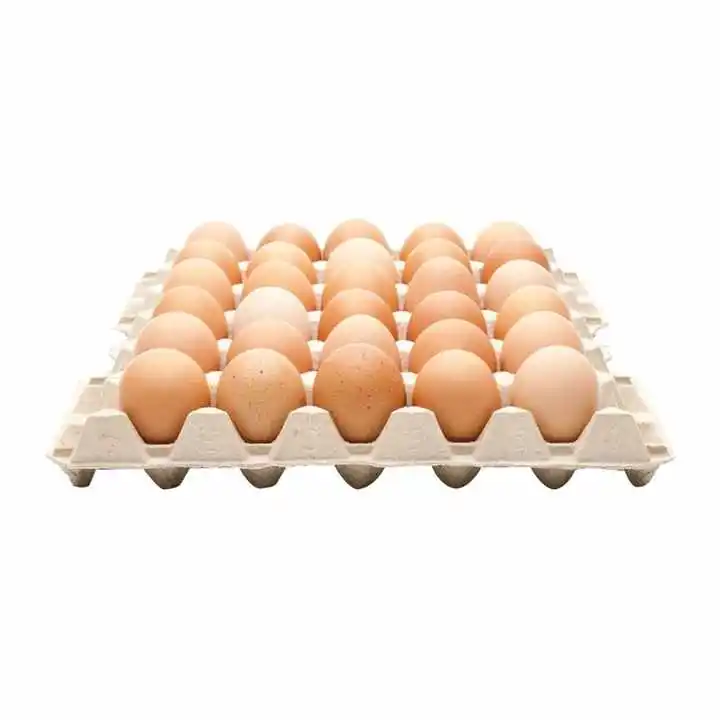 Стол свежие куриные яйца (белые и коричневые) оптом для продажи