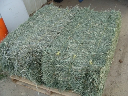 Buy Top Quality Alfafa Hay for Animal Feeding Stuff Alfalfa / Timothy / Alfalfa Hay for Sale