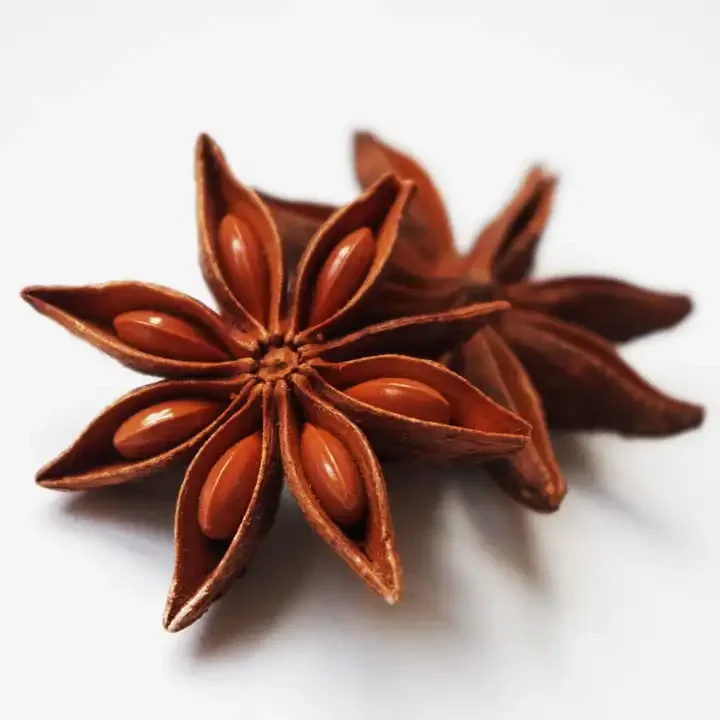 Vietnam star aniseed/ anise star - Broken star anise/ star anise oil from Vietnam