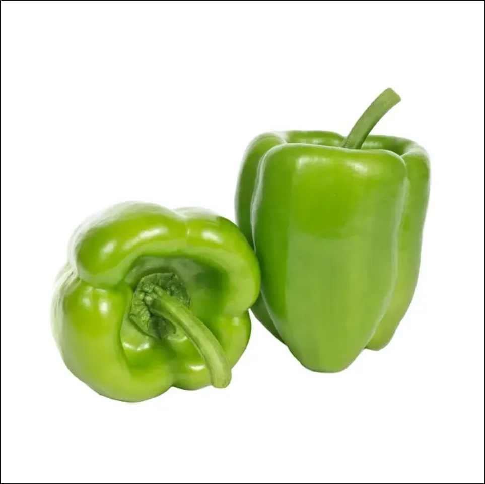 New crop fresh capsicum Chinese colored capsicum fresh green red yellow bell pepper