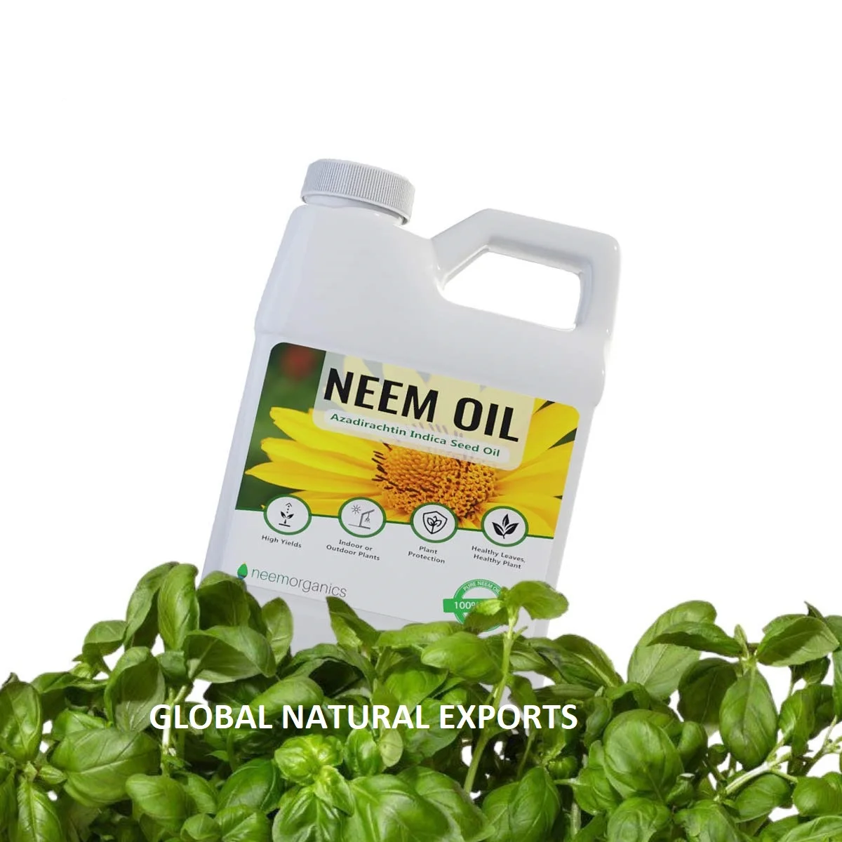 Pure and Natural Neem Seed Oil Sales from India