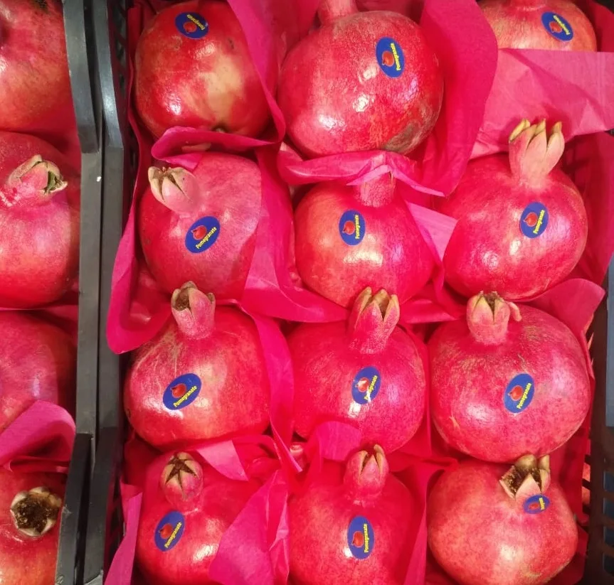 Fresh Pomegranates Fruit best price