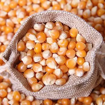 Желтая Кукуруза/белая кукуруза/Кукуруза