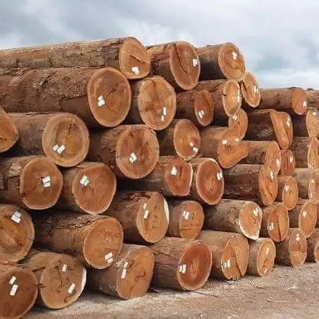 Buy Teak Wood logs |  Round Logs, Pine Sawn Timber Logs wholesale bulk price Europe