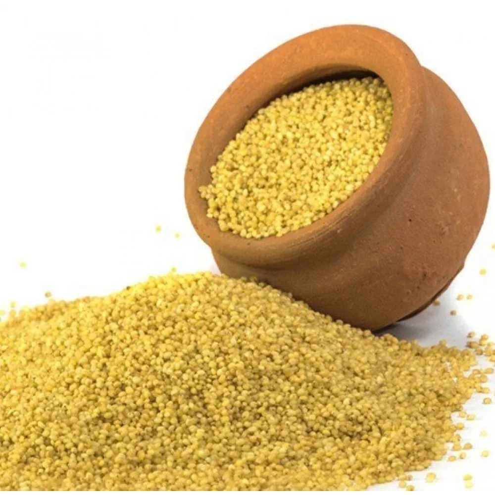 Organic Yellow Millet Hulled Glutinous Millet for Bird Fe