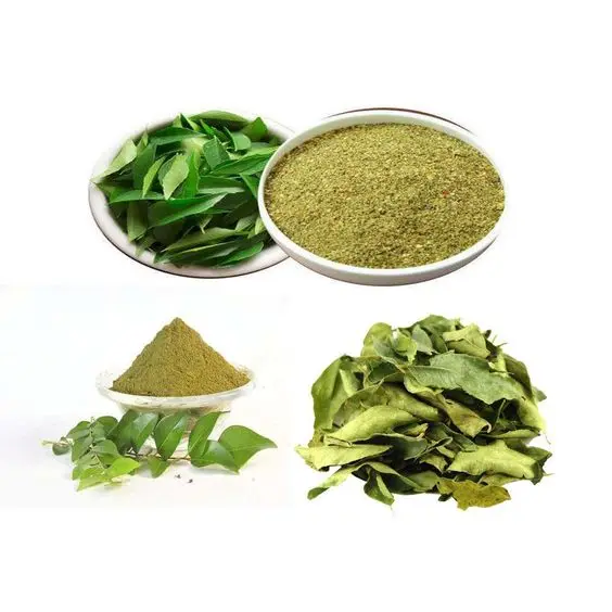 Dry Curry Cholesterol Lowering Ayurvedic Herb Fresh 100% Pure Organic Natural Greens