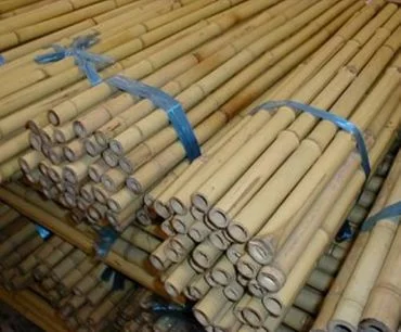 Поставщик необработанные бамбуковые столбы 100% натуральные от вьетнамского поставщика по низкой цене