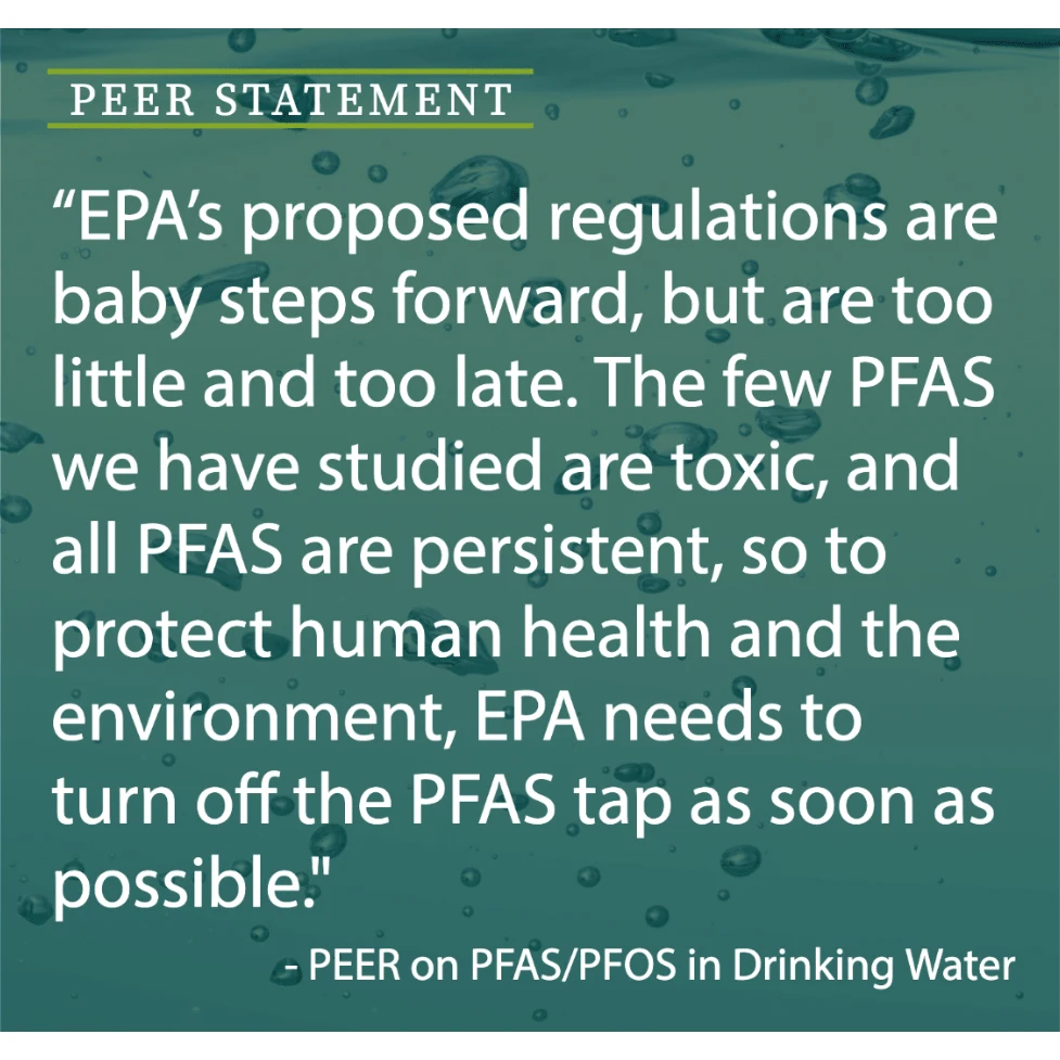 Фильтрация очистки воды Pfas удаления картридж для фильтра из