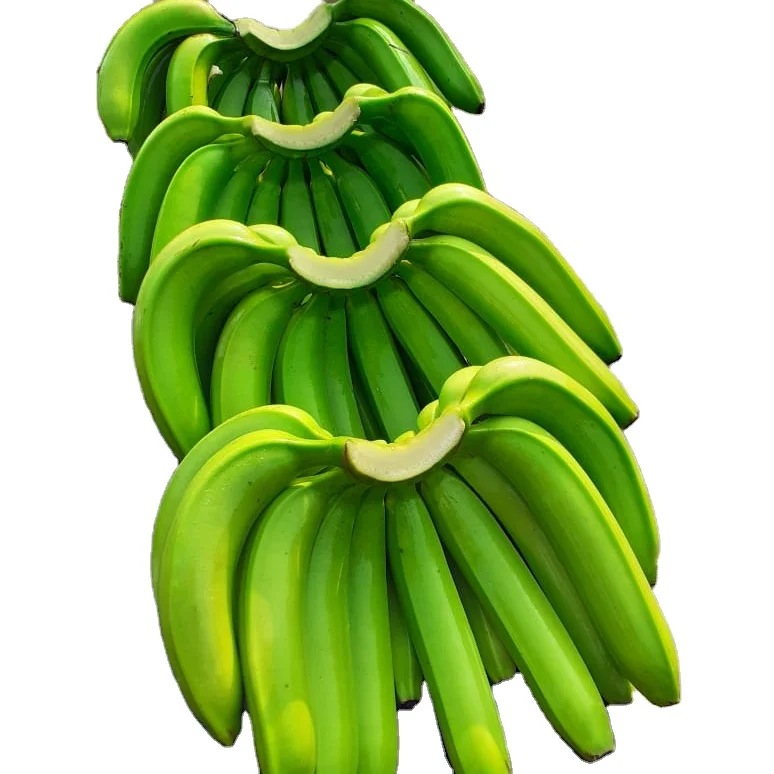 High Quality Cavendish Banana Available For Export