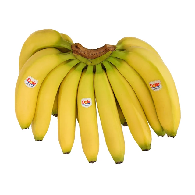 DOLE  PHILIPPINES TYPE FRESH CAVENDISH BANANA HIGH QUALITY WITH BEST PRICE FROM UNIFARM VIETNAM