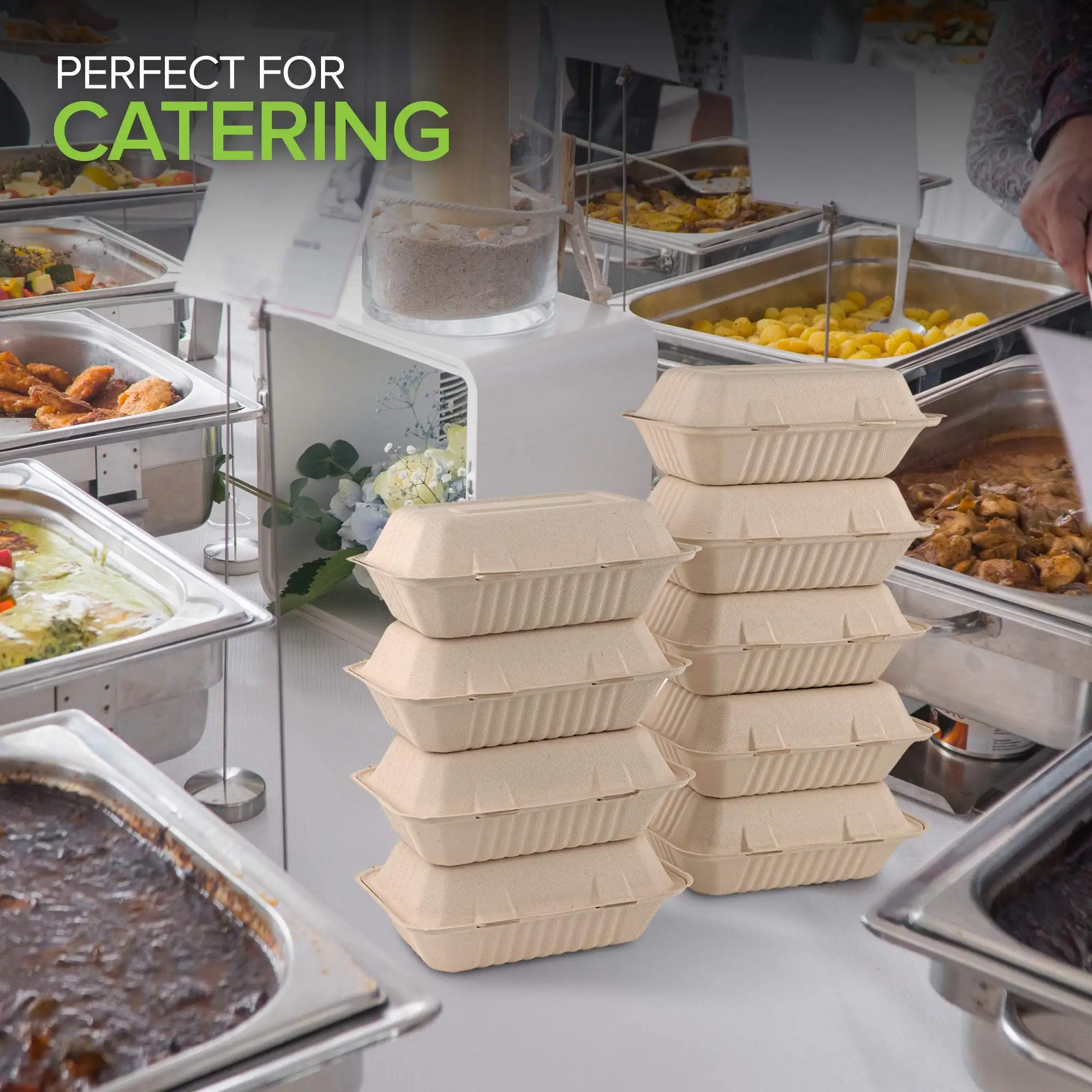 Blister Packing Freezer Safe Food Takeout Food Containers With Logo