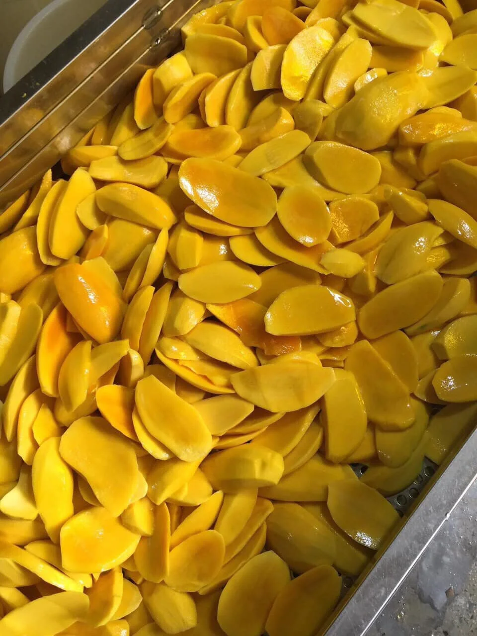 Dried Mango Packing Specification Half Slices 100% mango With Sugar Cheap price Low MOR