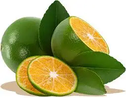 100% PURE FROZEN CALAMANSI KUMQUAT JUICE Concentrate Brix 8-10 in bag