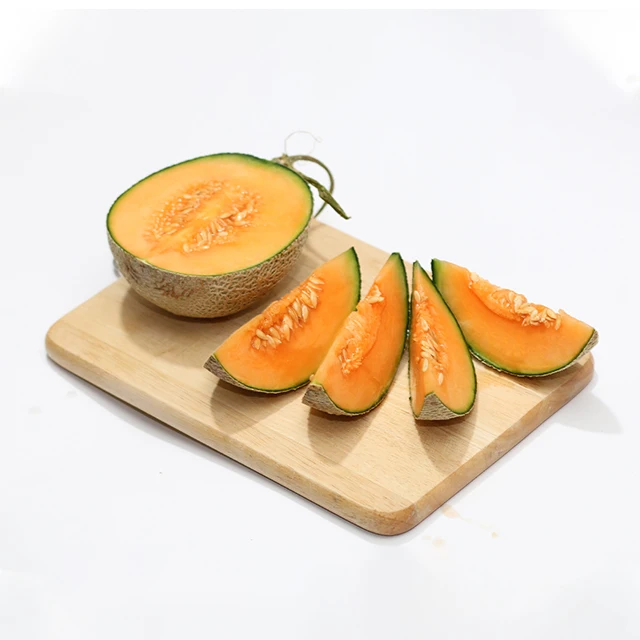 Wholesaler of Fresh Green Cantaloup Japanese melon Type made in Vietnam