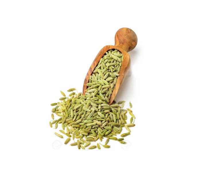 Different Use Top Quality Best Stock Wholesale Funnel in Custom Logo Packaging Available in Cheapest Wholesale Price