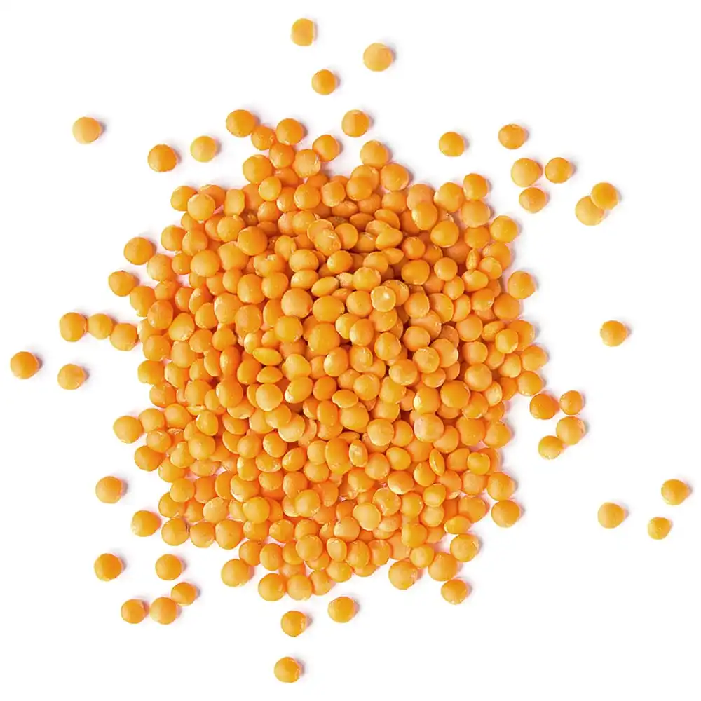 2023 Available red lentils with reasonable price and fast deliver/red lentils