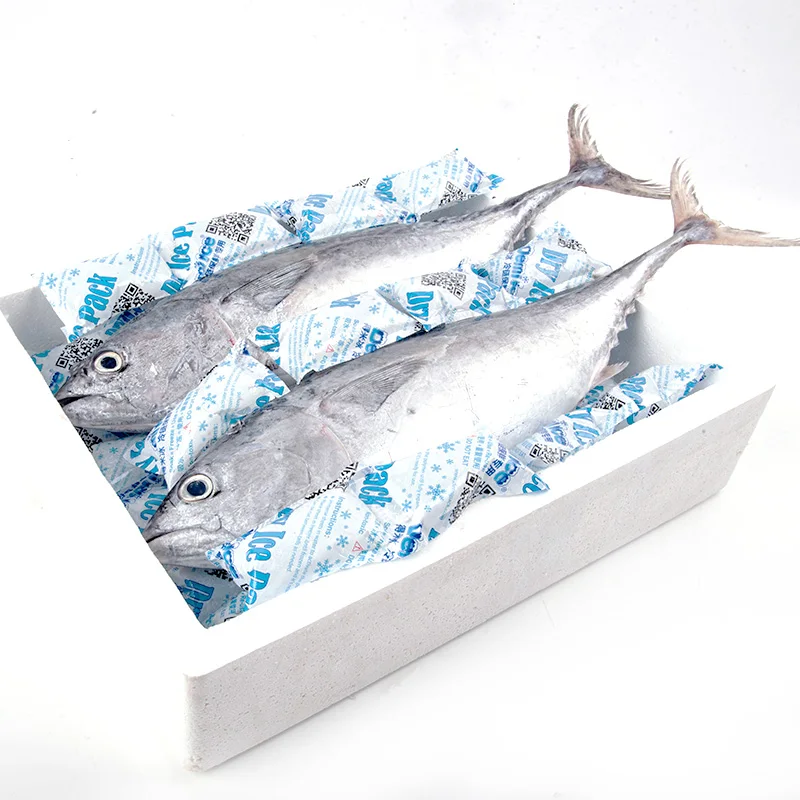 4*6cells Sheet Seafood Food Delivery Packaging Ice Pack Sheet Absorption Water Fabric Freezer Dry Ice Cold Packs
