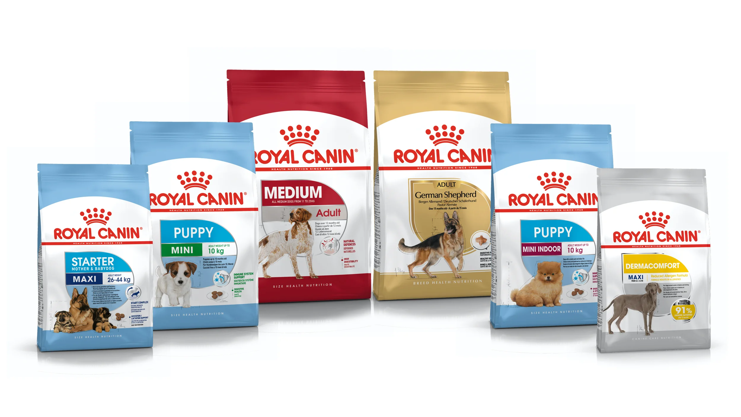 Factory supply Royal Canin Maxi Kitten Food
