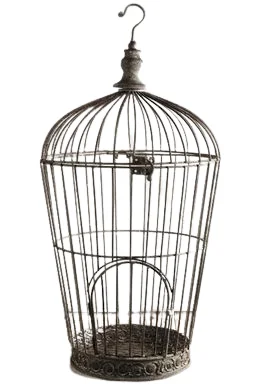 Elegant Bird Cage Ceiling Light Hanging Pendant Iron Shade Metal Indoor Lighting Decorative Supplies Custom Finished