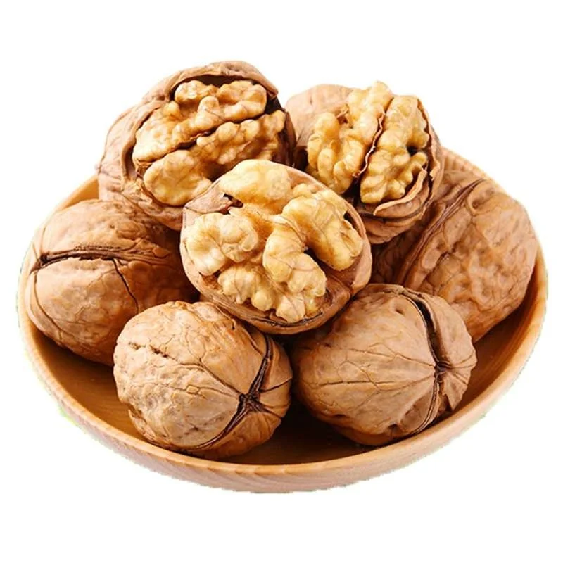 Best Price Common Walnut Nuts Top Class Walnut Kernels Dried Style Raw Walnut
