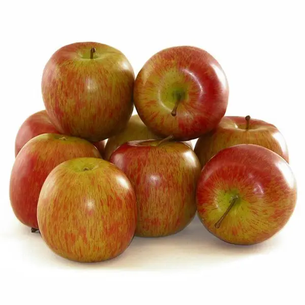 factory  price Fresh Apples Red Fuji Green Golden delicious Apples, Royal Gala Apples, Granny Smith Fresh Apples Price