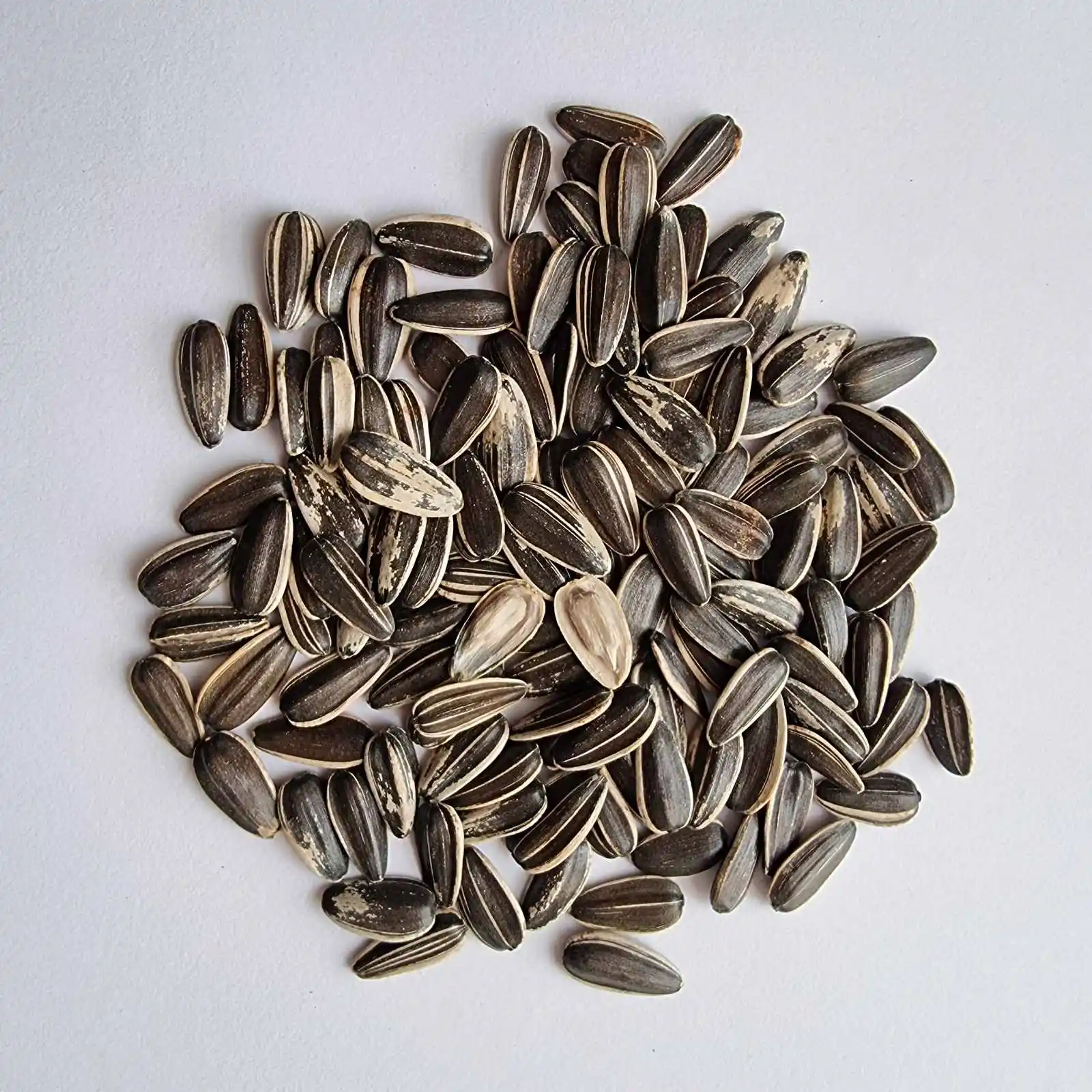 Bird Food Sunflower Seed Wholesale Top Quality Packaging Bulgarian Origin Animal Feed Small Size Sunflower seeds