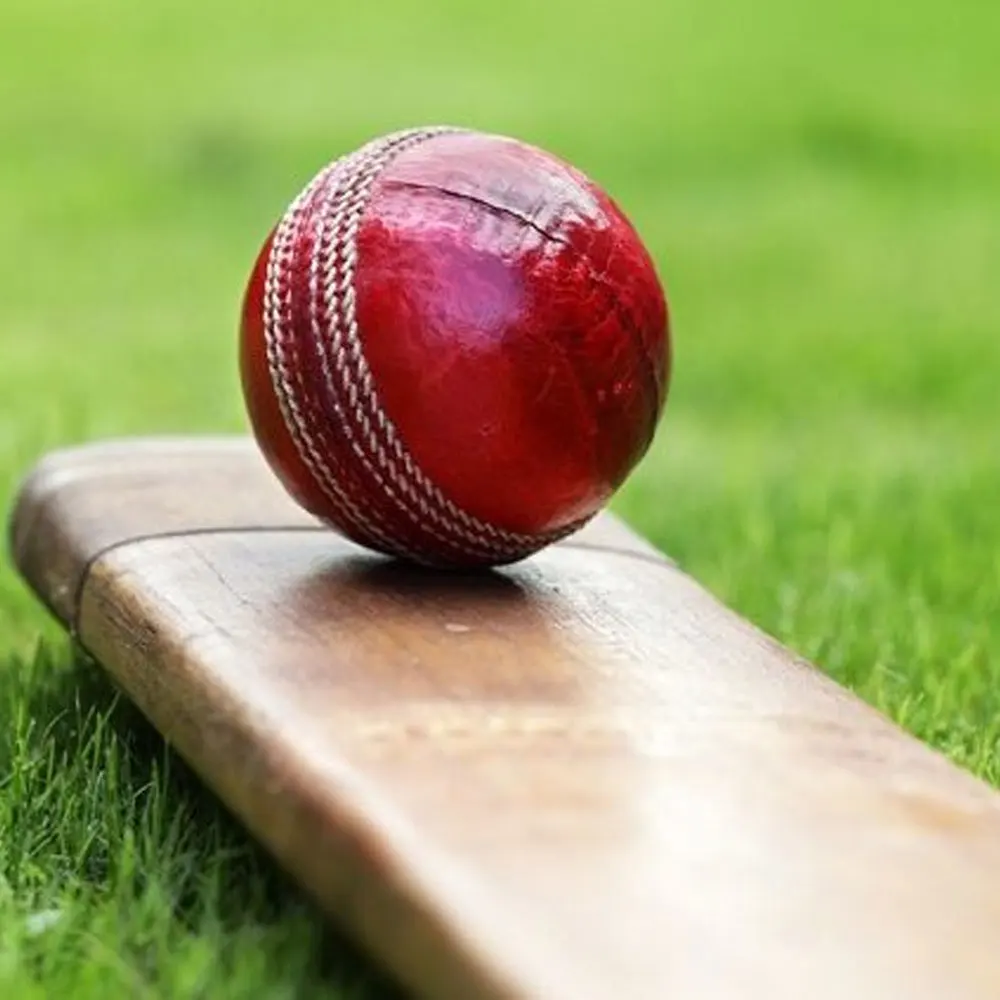 Sporting Goods Super Wholesale Red Cricket Leather Ball