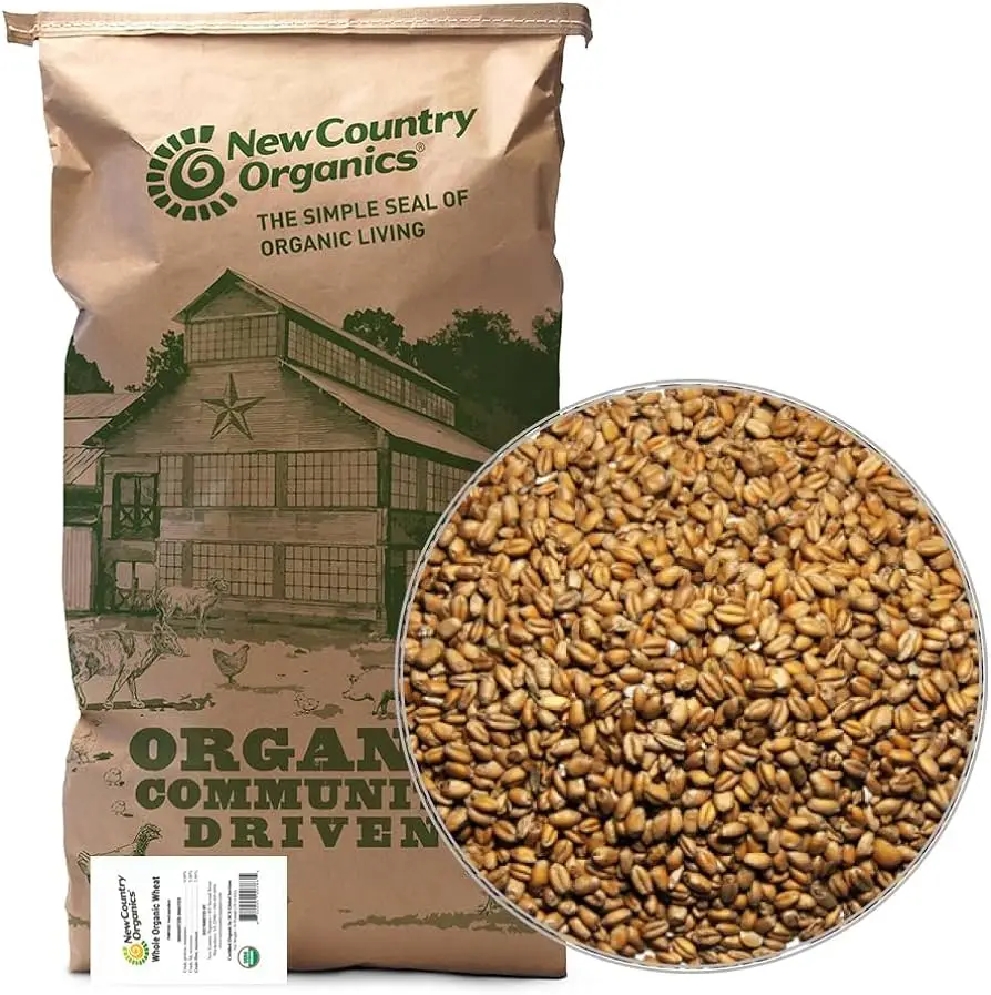 Wholesale Non GMO High Grade Wheat Grain in Bulk 100% Pure & Nutrition Factory Price