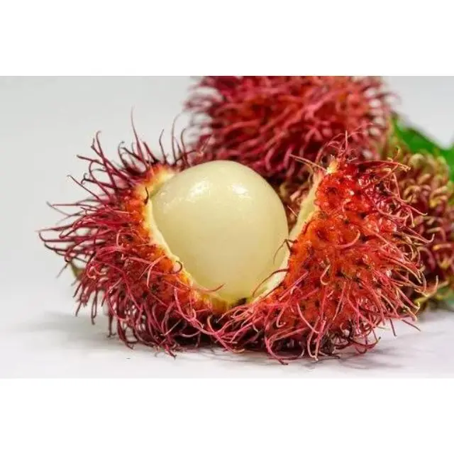 HOT Selling Rambutan Fruit From Thailand, Sweet and Natural Rambutan High Quality, Thailand Fresh Fruit Export