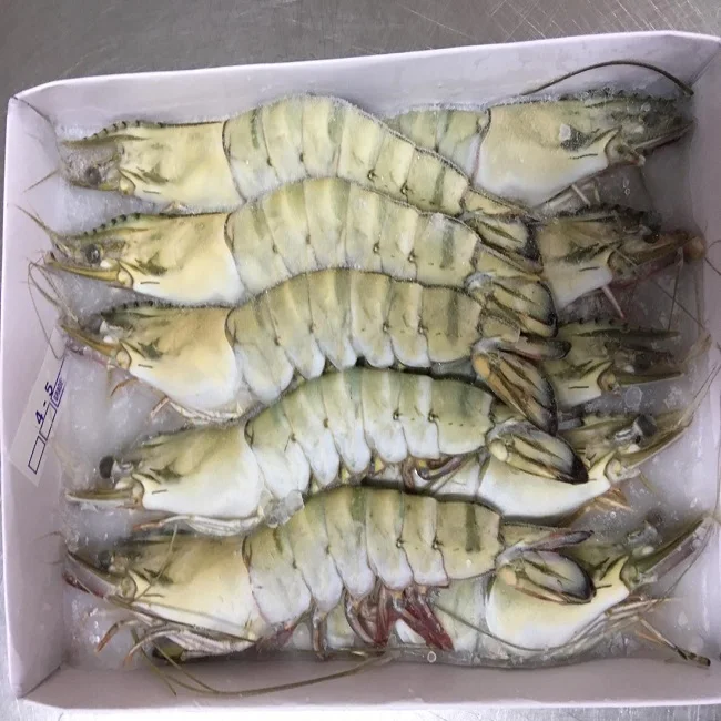 widely Selling Fresh Frozen Whole Vannamei Shrimp White / Black Tiger Shrimp /prawn