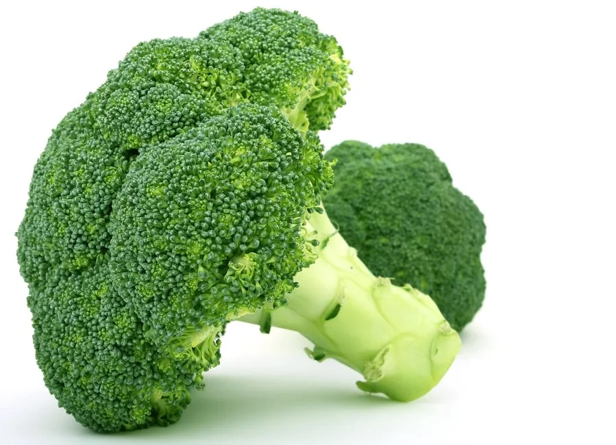 Best Selling Broccoli At Wholesale Prices From India