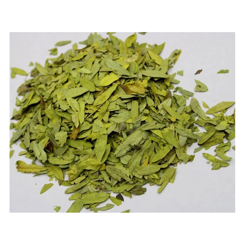 Senna Leaves  Buy At Wholesale Price