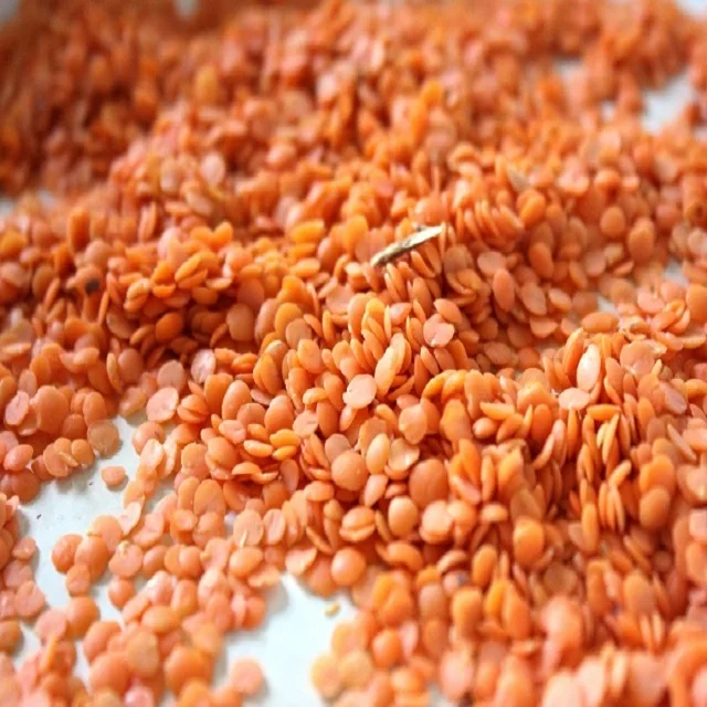 high quality red split lentils yellow and green lentil for sale specifications crimson red lentils