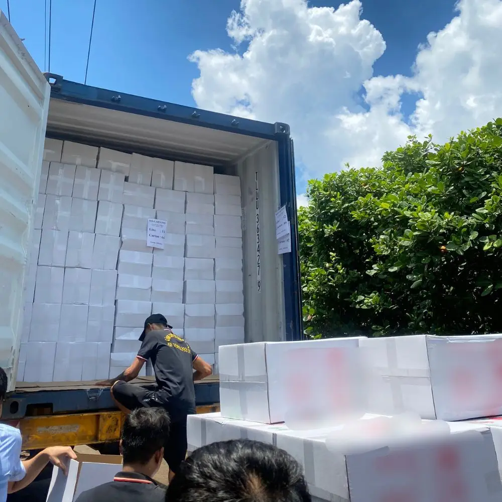 Trusted Factory Raw Cashew Nuts Cashew Nuts Vietnam Cashew Nut Customized Packing