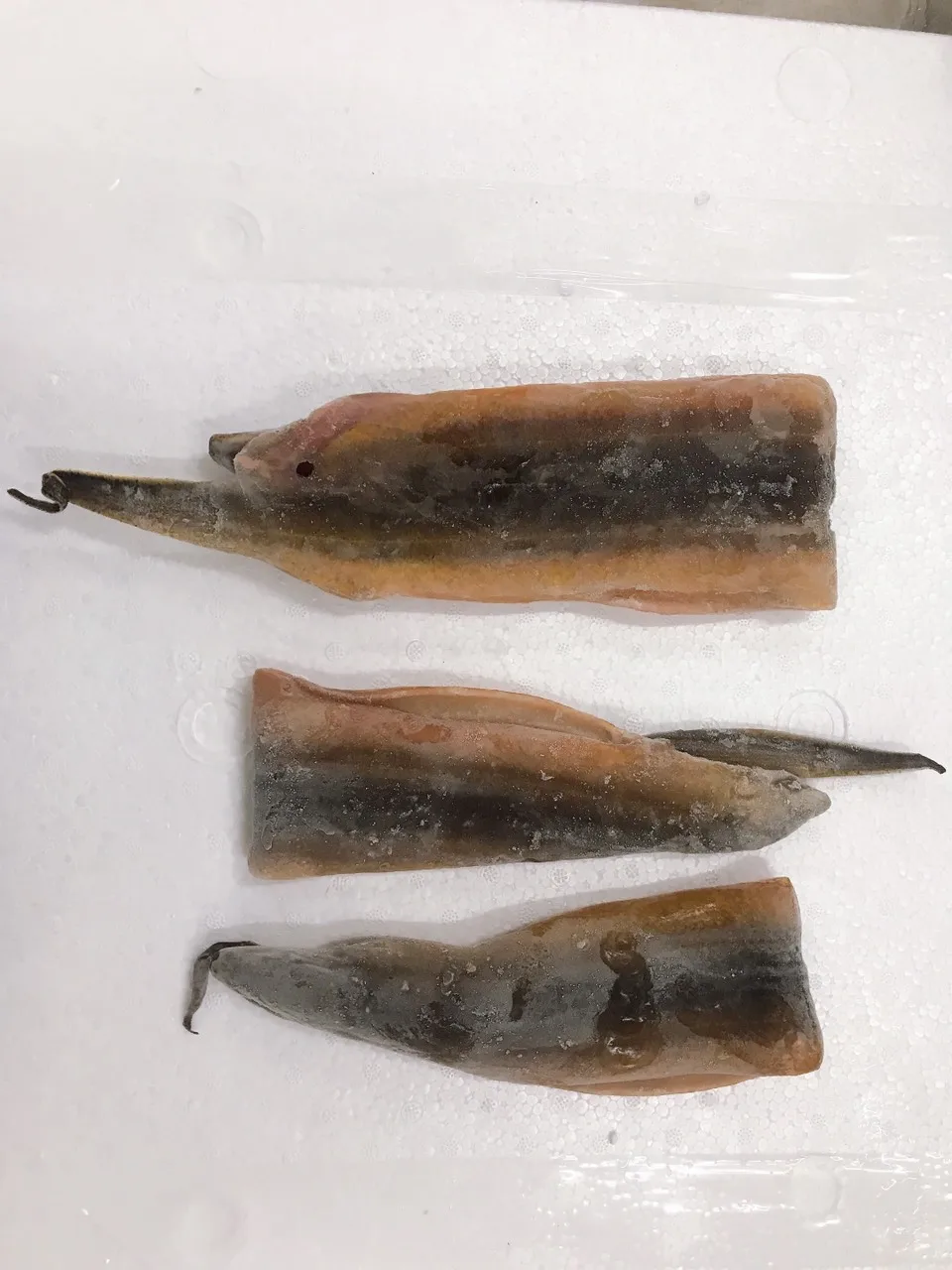 VIETNAM FROZEN SWAMP EELS - FARM RISSED -  MEKONG DELTA ORIGIN - BEST PRICE FOR SALE - HIGH QUALITY