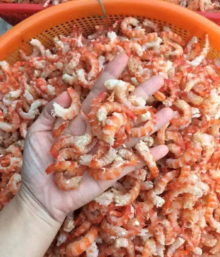 Хорошая цена Натуральные сушеные креветки на экспорт с красной кожей