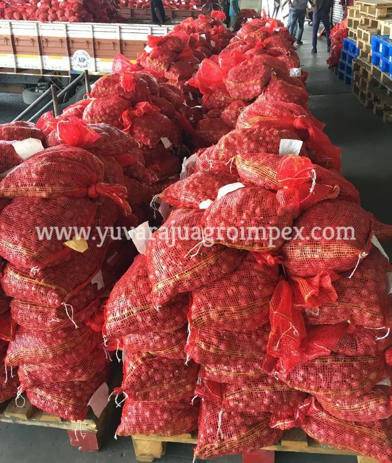 Fresh Red Onion in reasonable pricing Big and Small Size Onion Fresh Vegetable Suppliers and Exporters In India