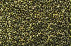 Factory Wholesale Customized High Quality  Green Pepper Seeds On Sale