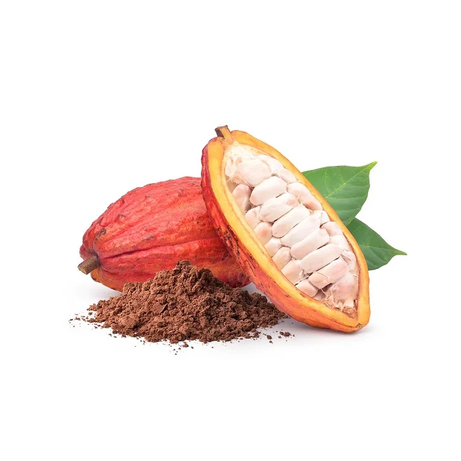 Cocoa Beans Ivory Coast | Bulk Cocoa Bean Suppliers