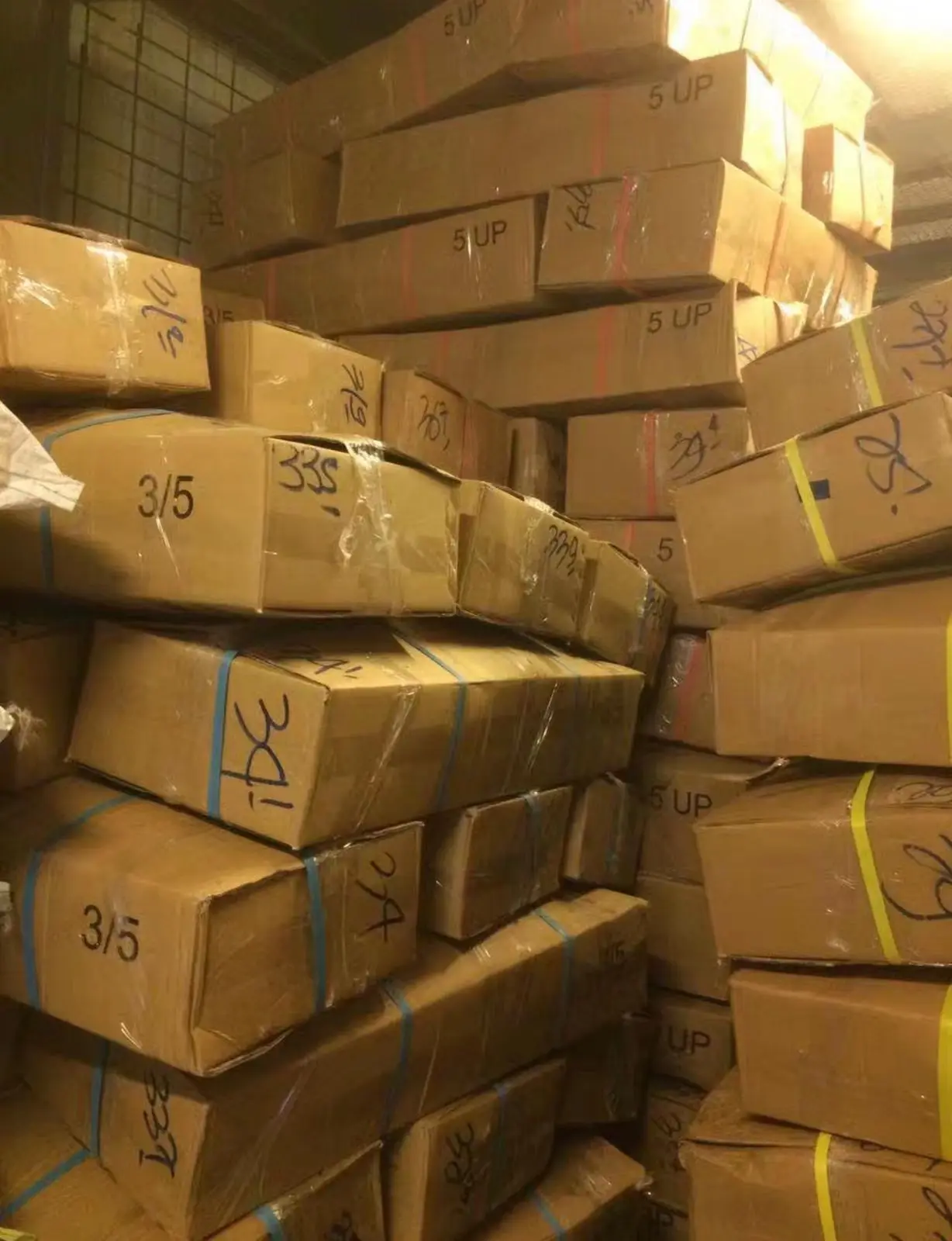 Wholesale Frozen Chilled Squid Frozen Giant Squid Seafood Supplier