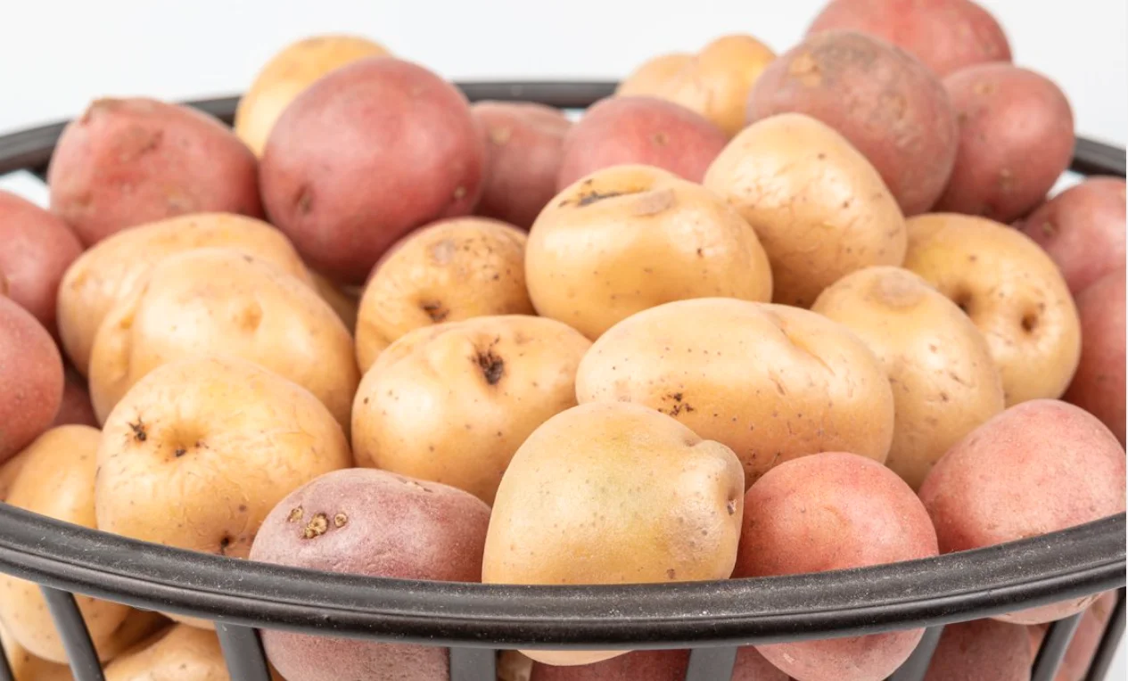 potato high quality new crop fresh Potato with per ton good price for wholesale fresh potato  professional export 2022 new fresh