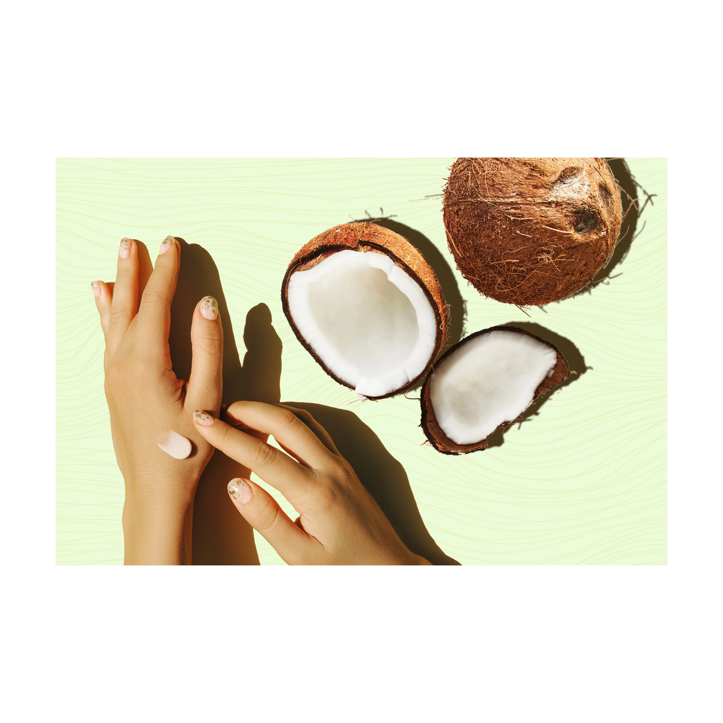 Top Quality 100% Fresh Natural Organic Desiccated Coconut