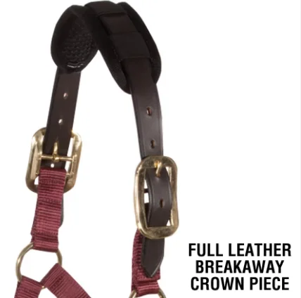 Wholesale Halter Nylon Head Collar Equipment Water-Proof Horse Halter Available At Wholesale Price