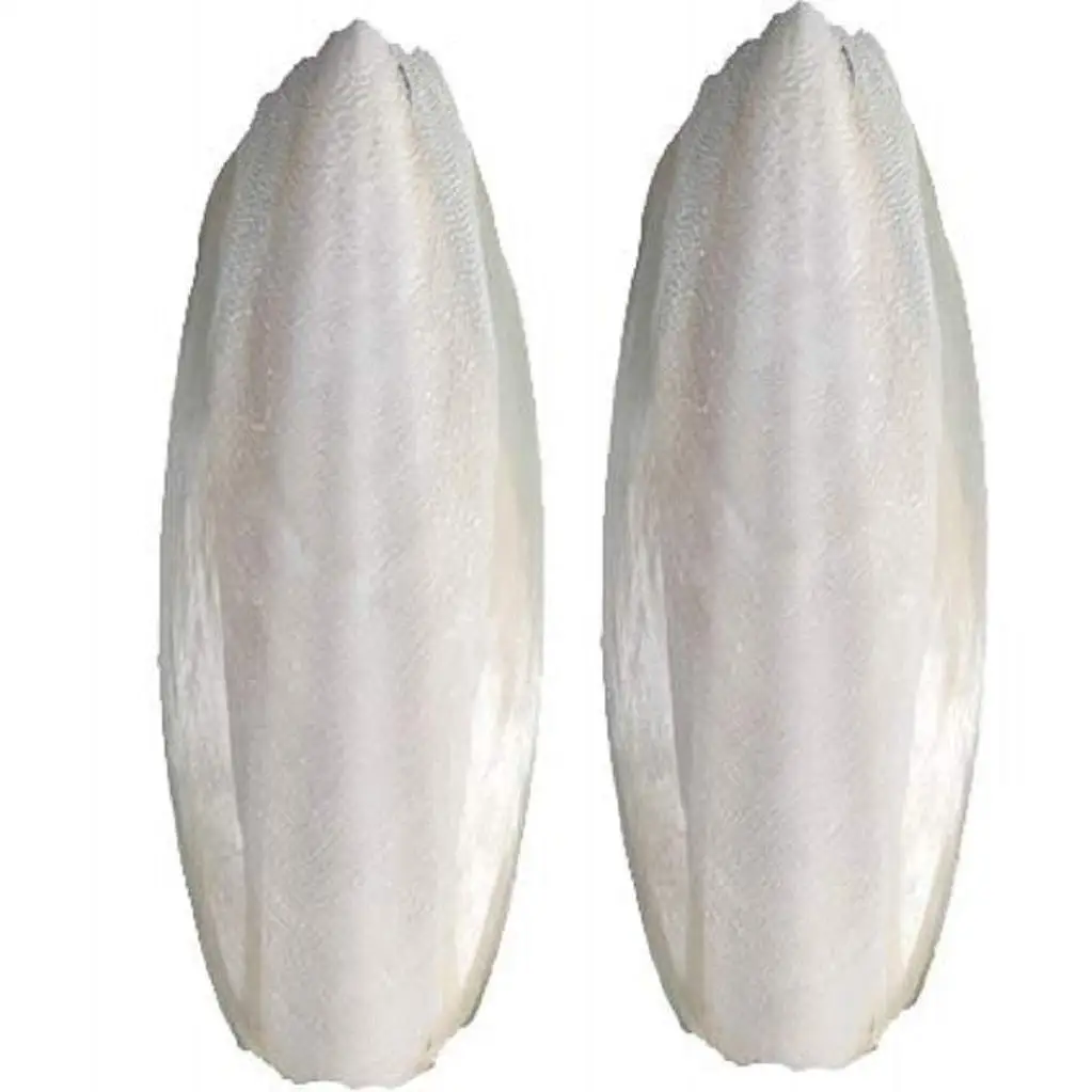 Dried Cuttlefish Bone For Birds Buy Wholesale Price Cuttlefish Bone Best Price Squid Bone-Cuttlebone